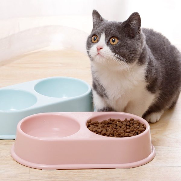 Double Cat Food Bowl